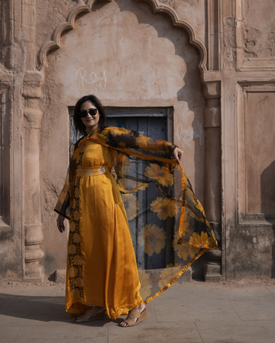 Husn-e-Aftab: Silk-Organza Two-Piece Evening Gown (Mukaish)