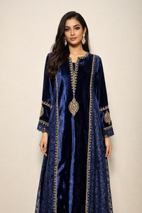 Rich Velvet Suit - Stitched Anarkali / Unstitched Straight Suit