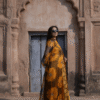 Husn-e-Aftab Gown