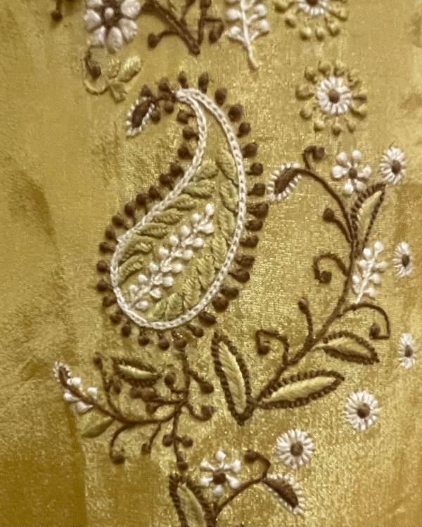 Zaed-E-Khubsurat, Long Tissue Jacket - Yellow